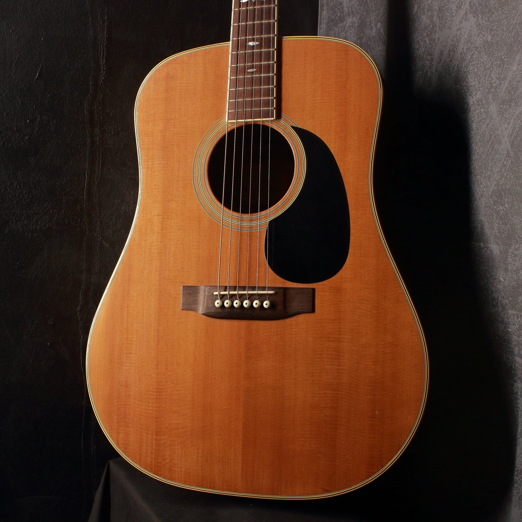 Tokai Cat