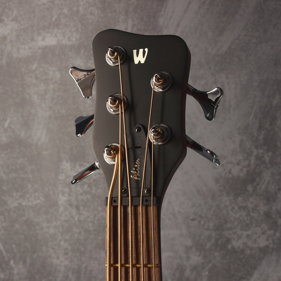 Warwick The Alien 5 Acoustic/Electric Bass 2017