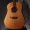 Takamine Pro Series P3D Acoustic/Electric 2012