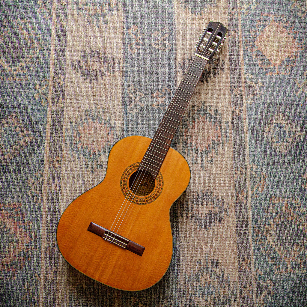 Wayne W-30 Classical Acoustic c1975
