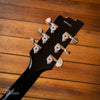 Duesenberg Starplayer V Silver Sparkle 2013