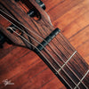 LAG Tramontane TN300A14SCE Classical Acoustic/Electric Natural Satin 2011
