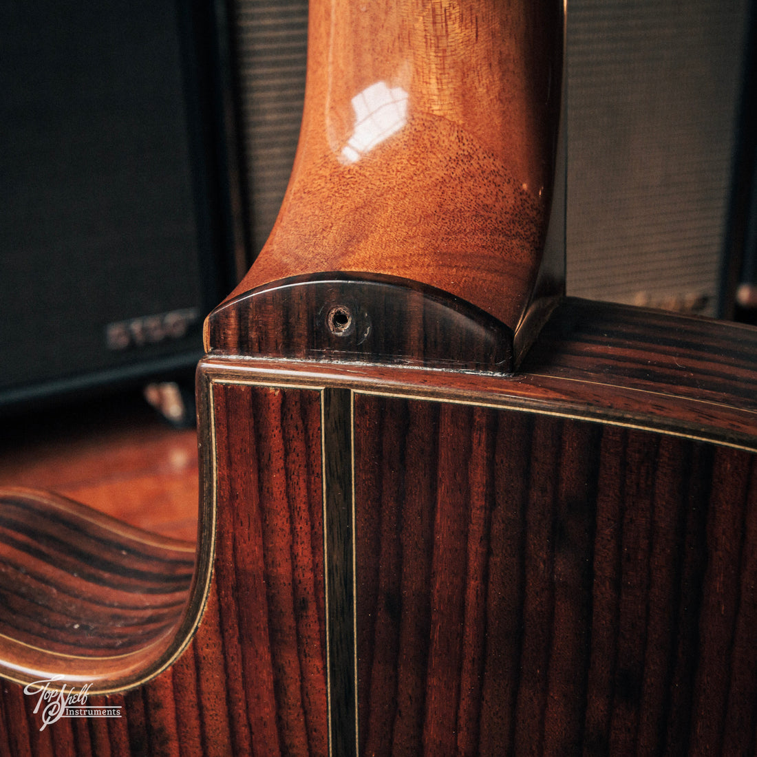 LAG Tramontane TN300A14SCE Classical Acoustic/Electric Natural Satin 2011