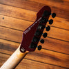 LTD TE-200 Black Cherry 2022