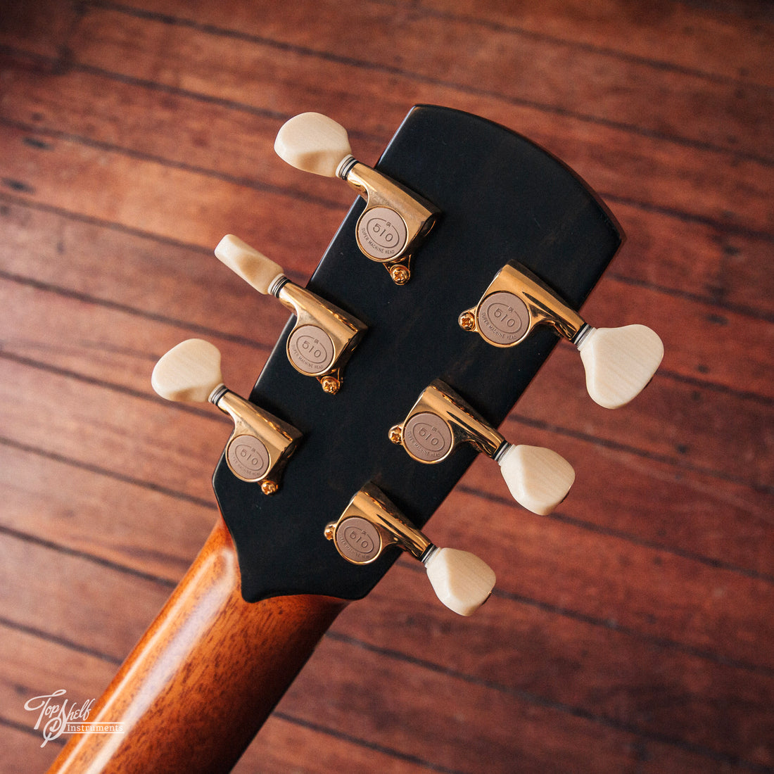 aNueNue #5 Alan Gogoll Model Acoustic/Electric Natural Gloss 2017