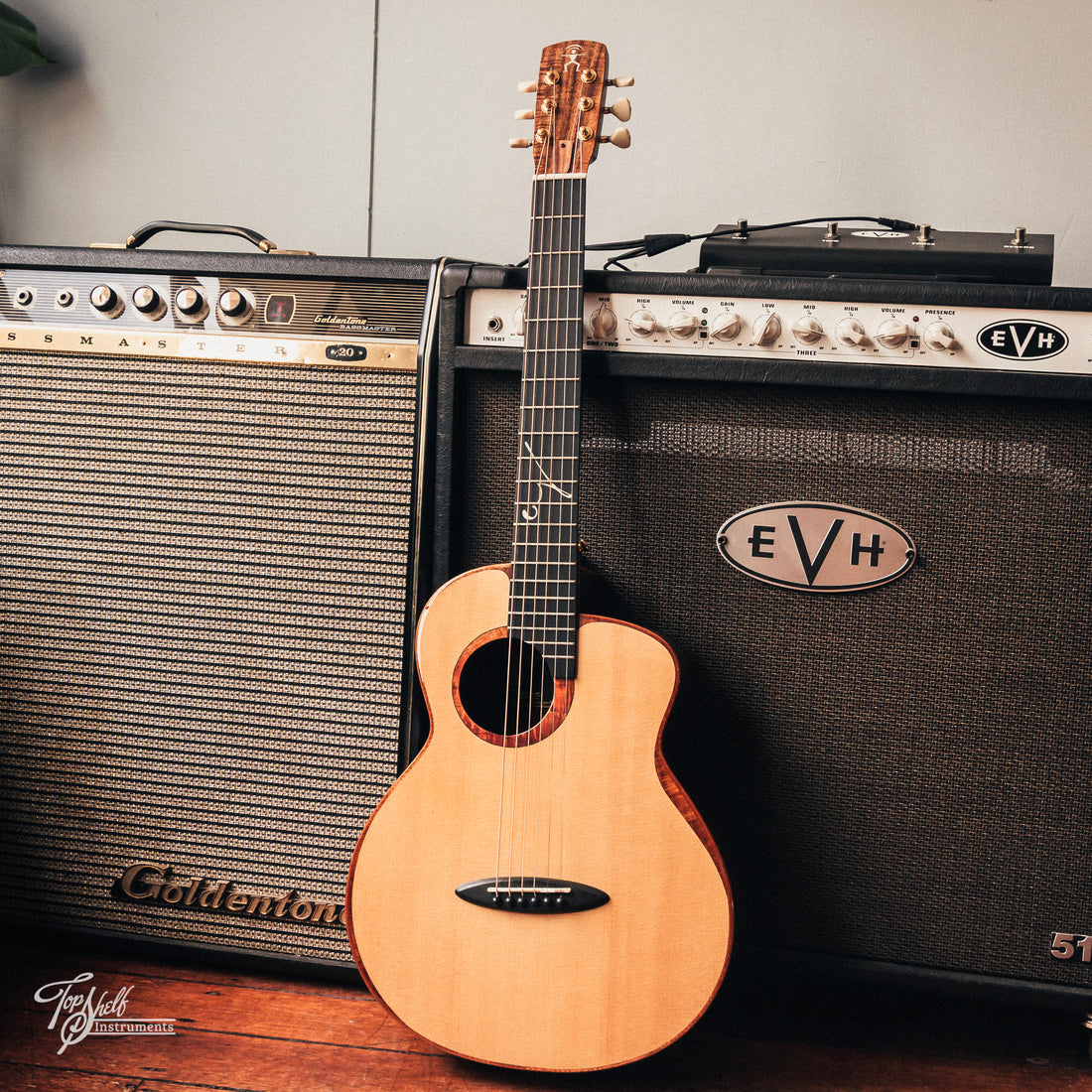 aNueNue Alan Gogoll Travel Size Acoustic/Electric Natural Gloss 2017
