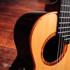 aNueNue Alan Gogoll Travel Size Acoustic/Electric Natural Gloss 2017