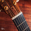 aNueNue Alan Gogoll Travel Size Acoustic/Electric Natural Gloss 2017