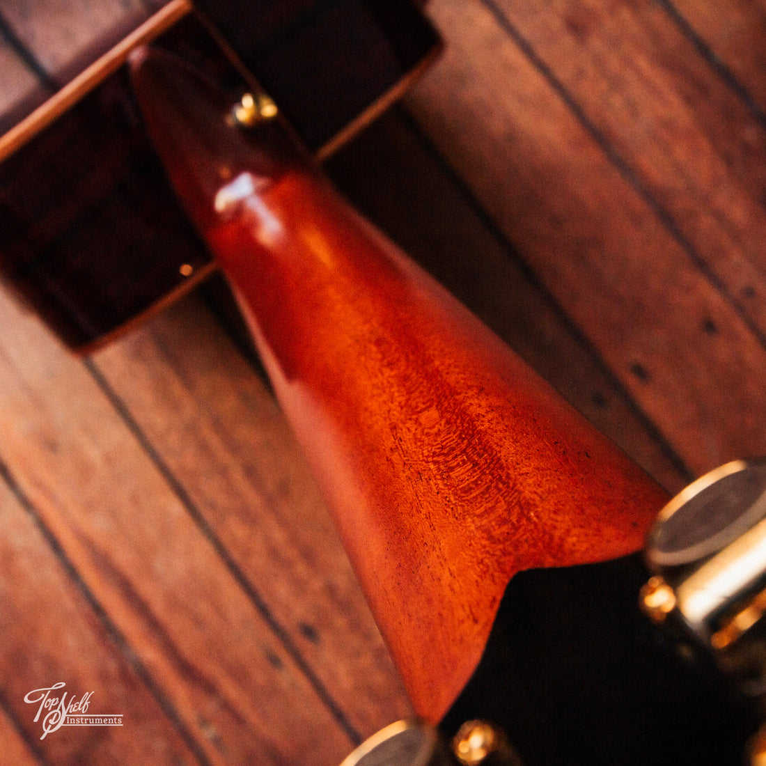 aNueNue Alan Gogoll Travel Size Acoustic/Electric Natural Gloss 2017