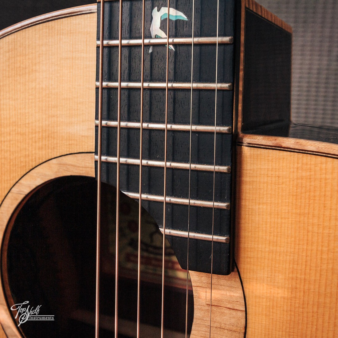 aNueNue Bird Guitar LB200 Acoustic/Electric Natural Gloss 2017