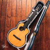 aNueNue Bird MN 214 Nylon Travel Acoustic/Electric 2017