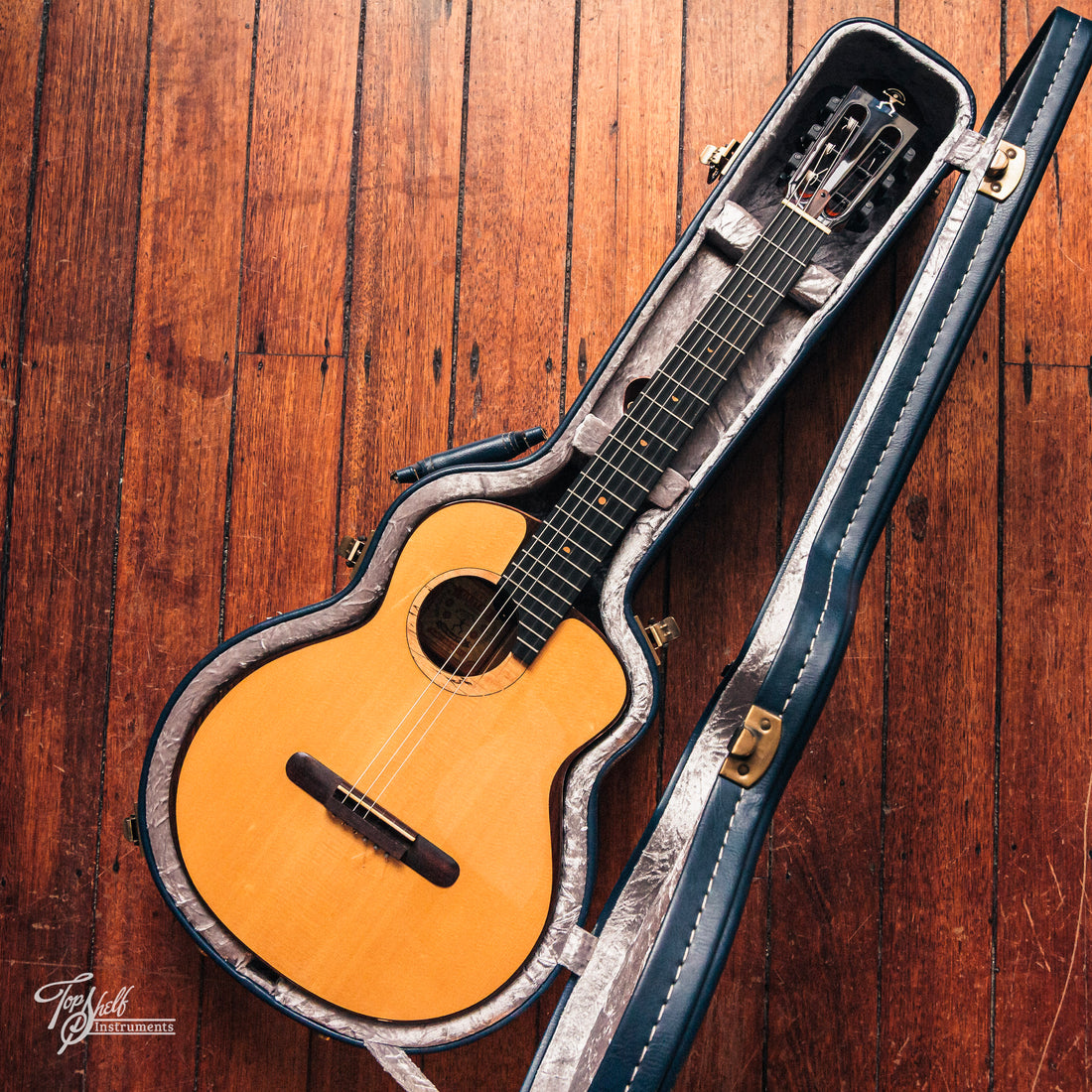 aNueNue Bird MN 214 Nylon Travel Acoustic/Electric 2017