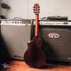 aNueNue Bird MN 214 Nylon Travel Acoustic/Electric 2017