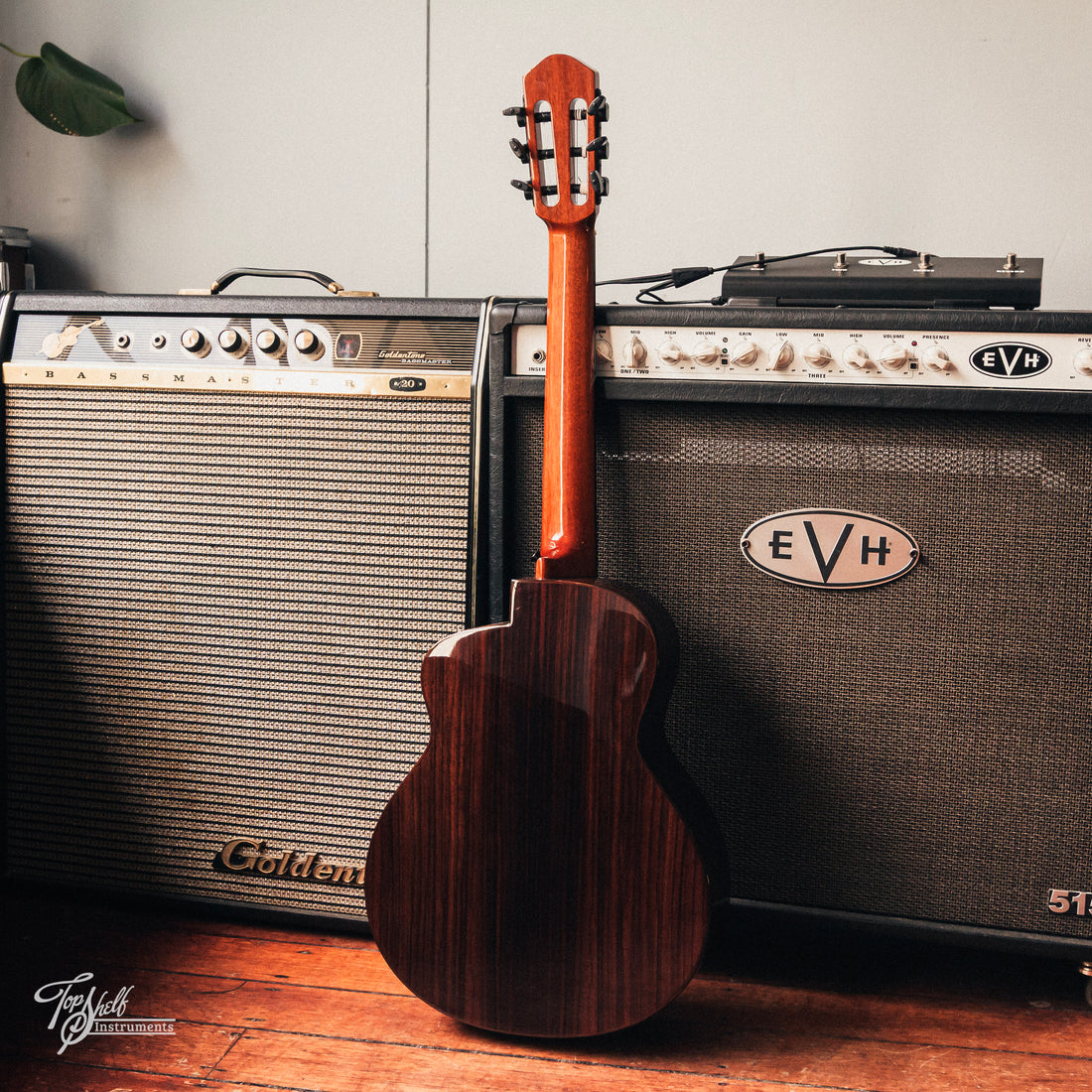 aNueNue Bird MN 214 Nylon Travel Acoustic/Electric 2017
