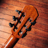 aNueNue Bird MN 214 Nylon Travel Acoustic/Electric 2017
