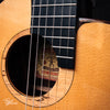 aNueNue Bird MN 214 Nylon Travel Acoustic/Electric 2017