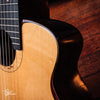 aNueNue Bird MN 214 Nylon Travel Acoustic/Electric 2017