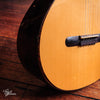 aNueNue Bird MN 214 Nylon Travel Acoustic/Electric 2017