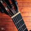 aNueNue Bird MN 214 Nylon Travel Acoustic/Electric 2017