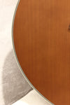 Tanglewood Sundance TW45-NSE Super Folk Acoustic/Electric 2012