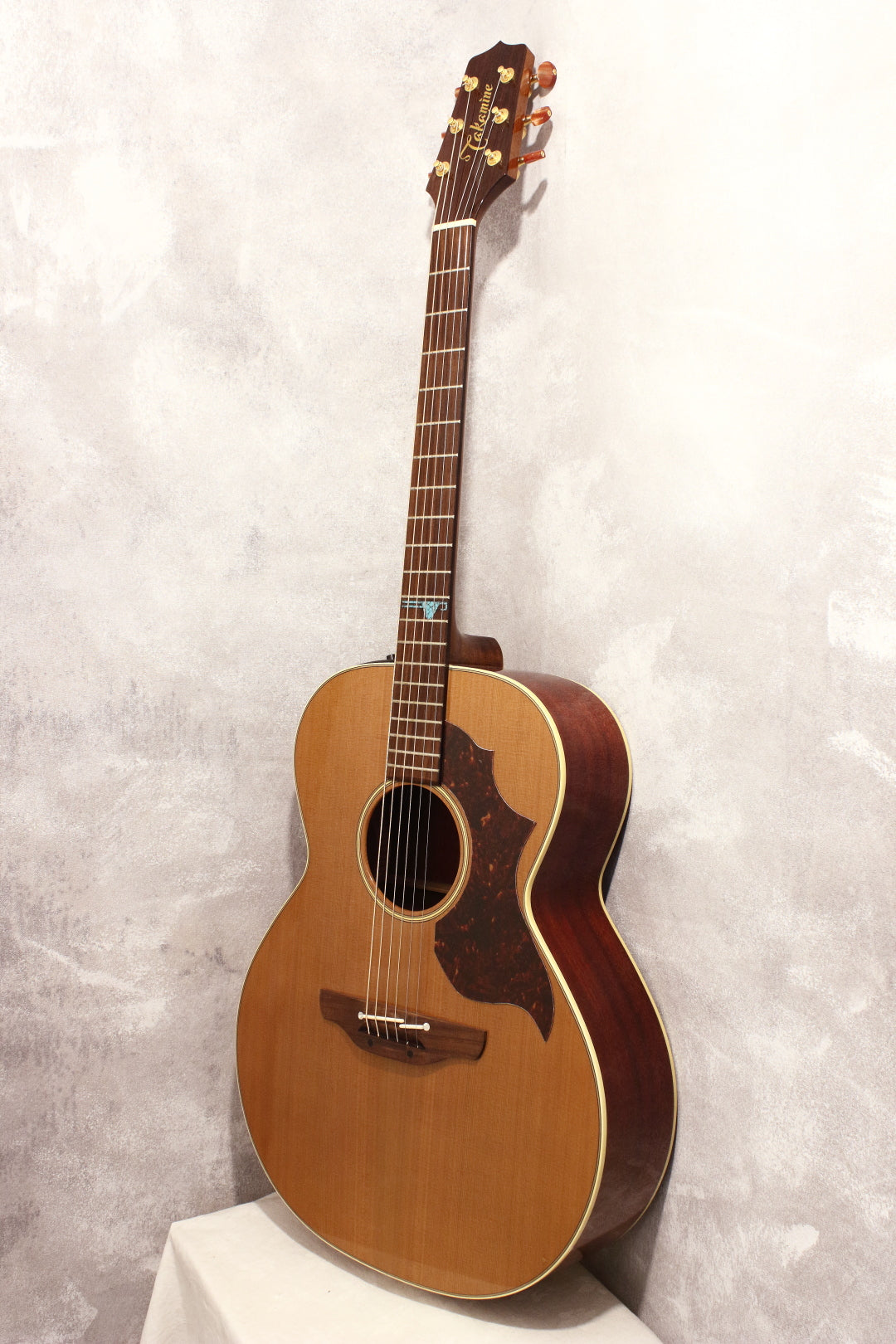 Takamine Santa Fe ESF-40 | White Guitars Online Store