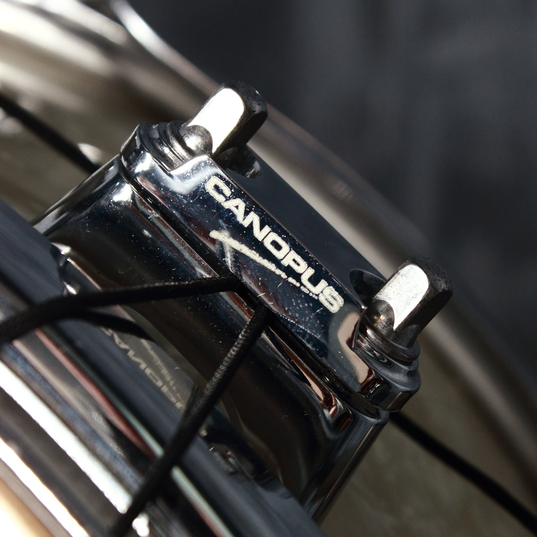 Canopus Limited Release STM-1455 Maple Snare Drum in Vintage Pearl