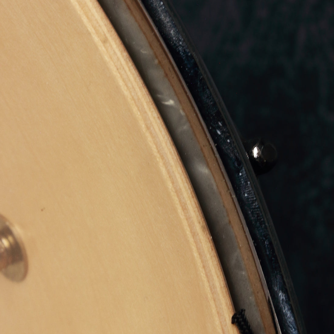 Canopus Limited Release STM-1455 Maple Snare Drum in Vintage Pearl