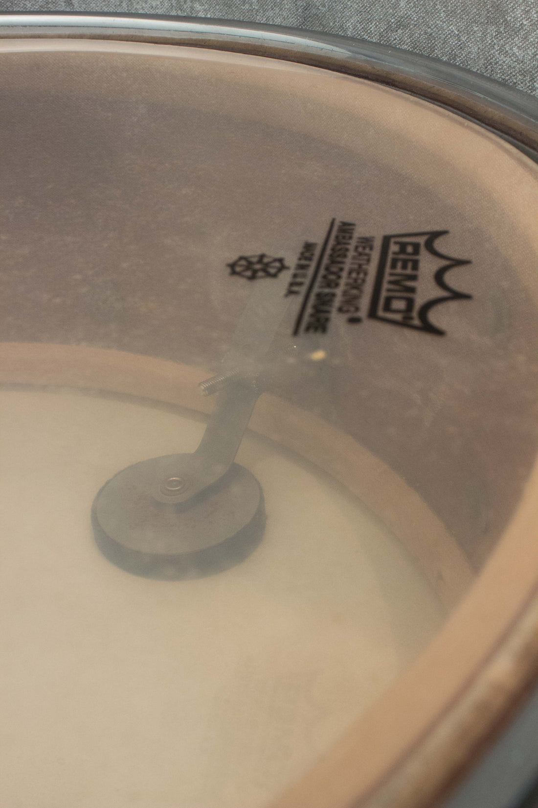 Ludwig Pioneer 14x5 Snare Drum (1960)