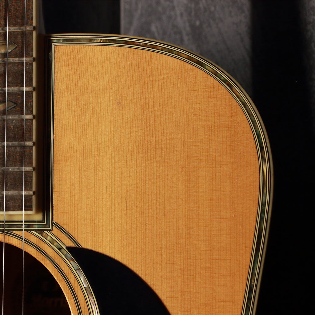 Morris W-100 Dreadnought Acoustic 1979