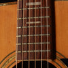 Kansas KW-150 Dreadnought Acoustic 1975