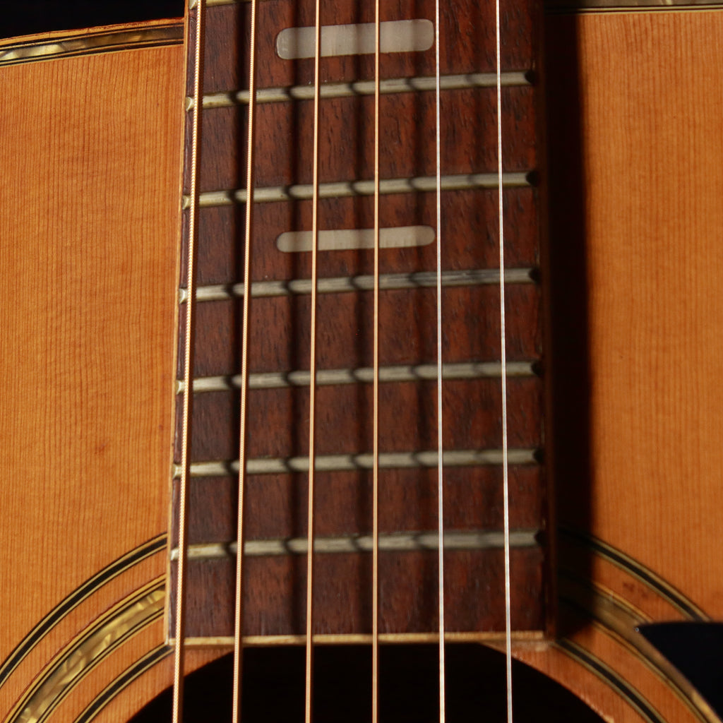 Kansas KW-150 Dreadnought Acoustic 1975