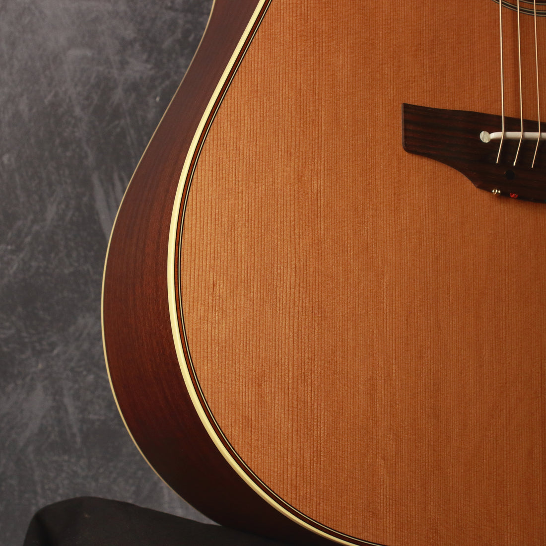 Takamine Pro Series P3D Acoustic/Electric 2012