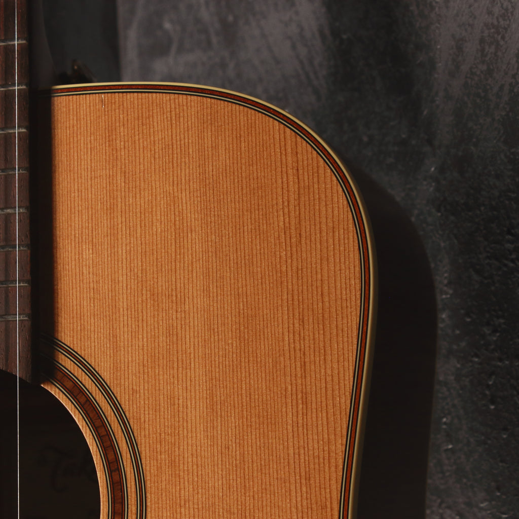 Takamine Pro Series P3D Acoustic/Electric 2012