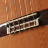 Ryoji Matsuoka M50 Classical Acoustic 1999