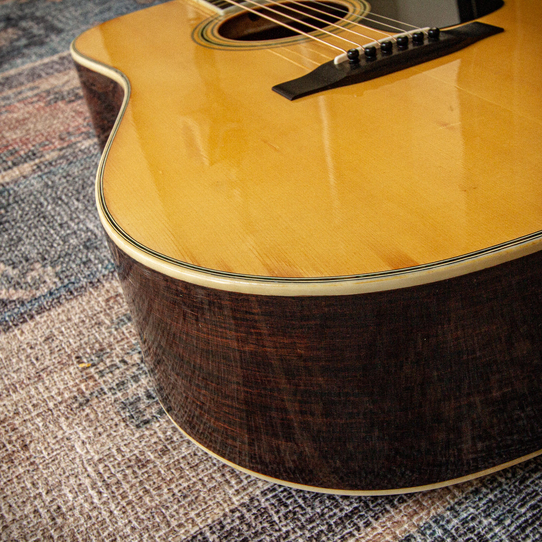 Morris W-25 Dreadnought Acoustic 1981