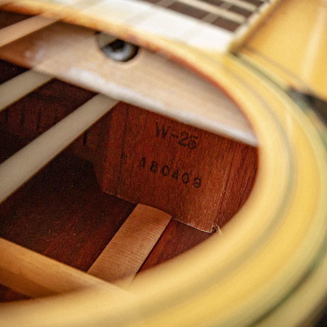 Morris W-25 Dreadnought Acoustic 1981