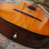 Wayne W-30 Classical Acoustic c1975