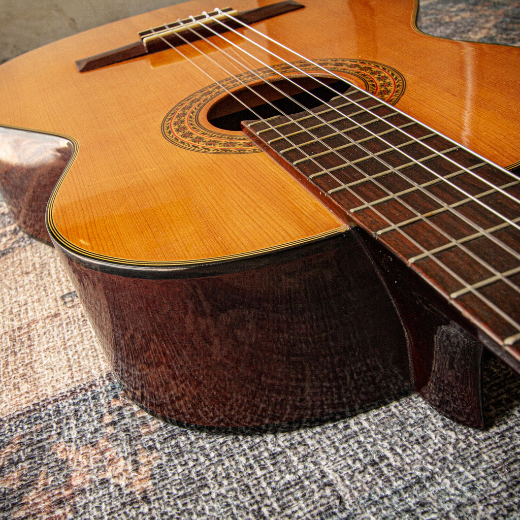 Wayne W-30 Classical Acoustic c1975