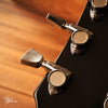 Aria Pro II LC500 Tobacco Sunburst 1979