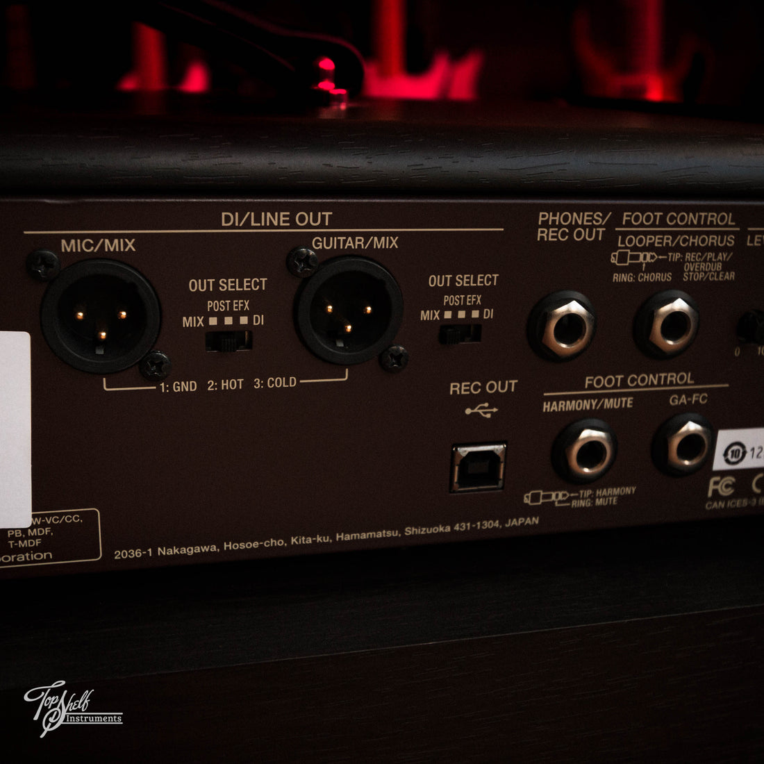 Boss Acoustic Singer Pro 120w 1x8" Stage Amp 2021
