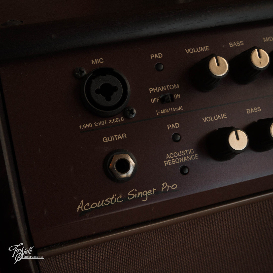 Boss Acoustic Singer Pro 120w 1x8" Stage Amp 2021