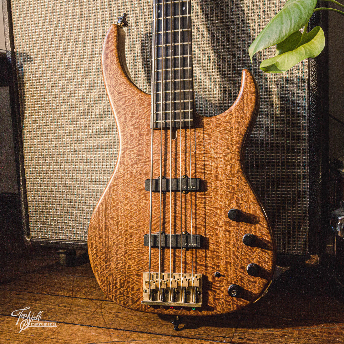 Combat Mega System Bass V Mahogany 2010 – Topshelf Instruments