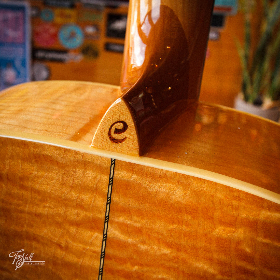 Cort SJ-3 Jumbo Acoustic Natural 2001