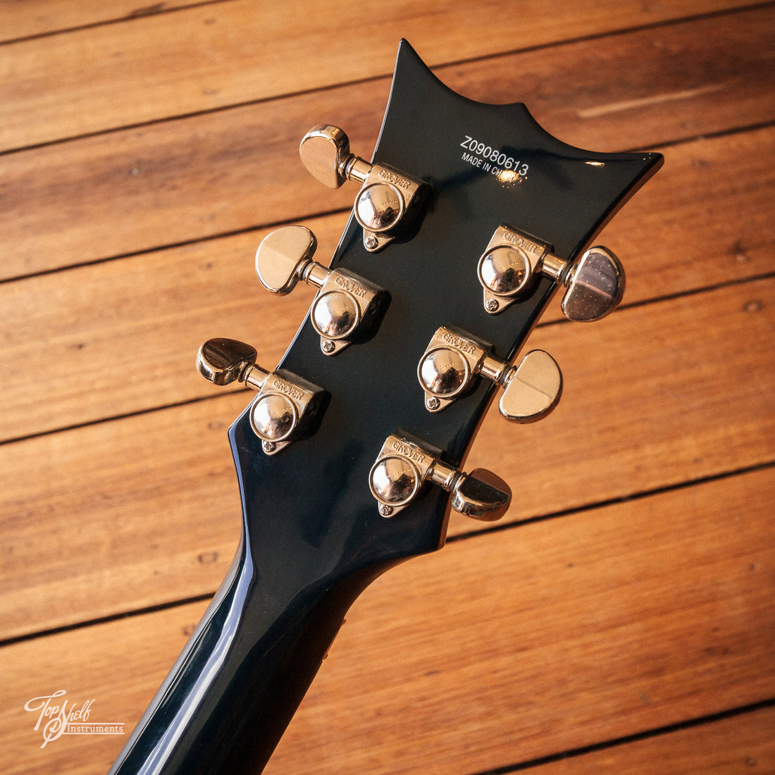 DBZ Bachetta Eminent FR Blueburst 2009