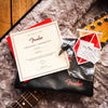 Fender American Professional II Stratocaster HSS Dark Night 2020