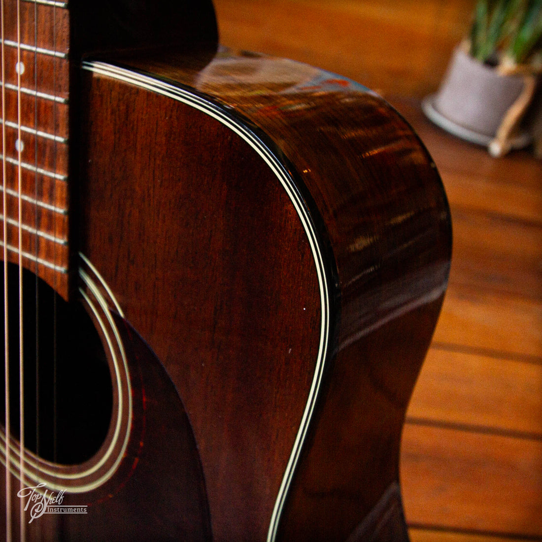 Fender Newporter Dreadnought Acoustic Walnut 1990