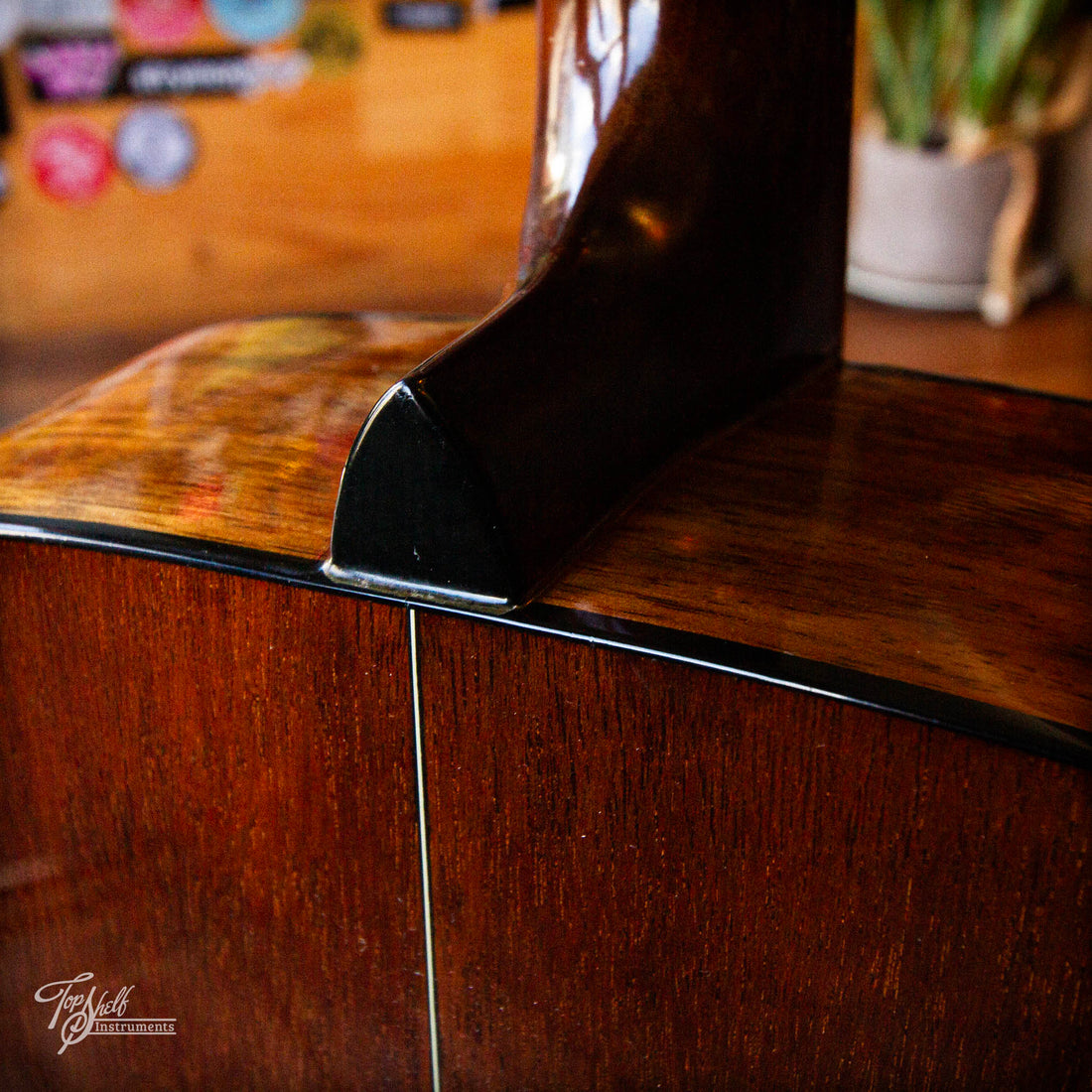 Fender Newporter Dreadnought Acoustic Walnut 1990