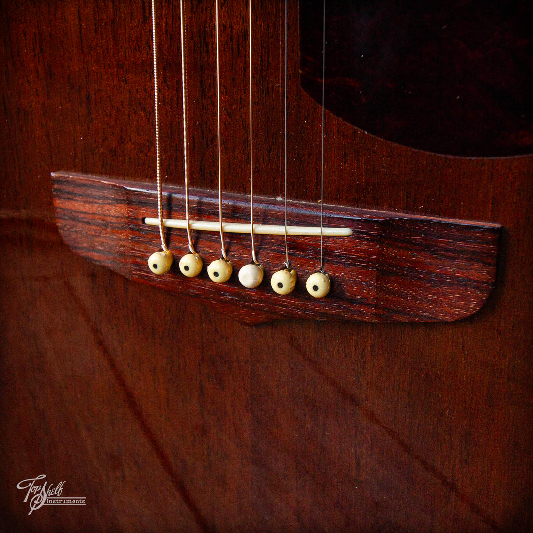 Fender Newporter Dreadnought Acoustic Walnut 1990