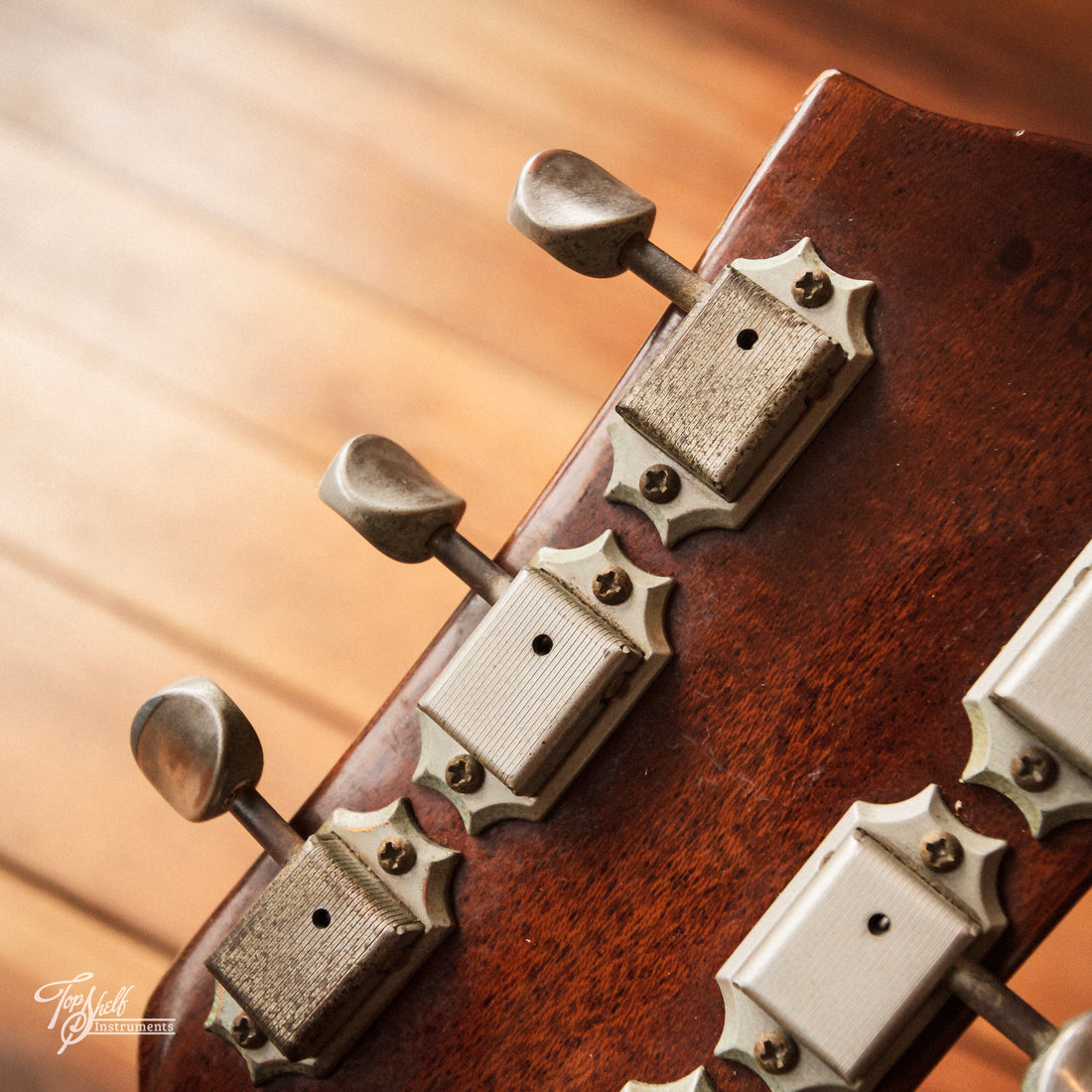 Fernandes FTV-70 Natural Gloss 1979
