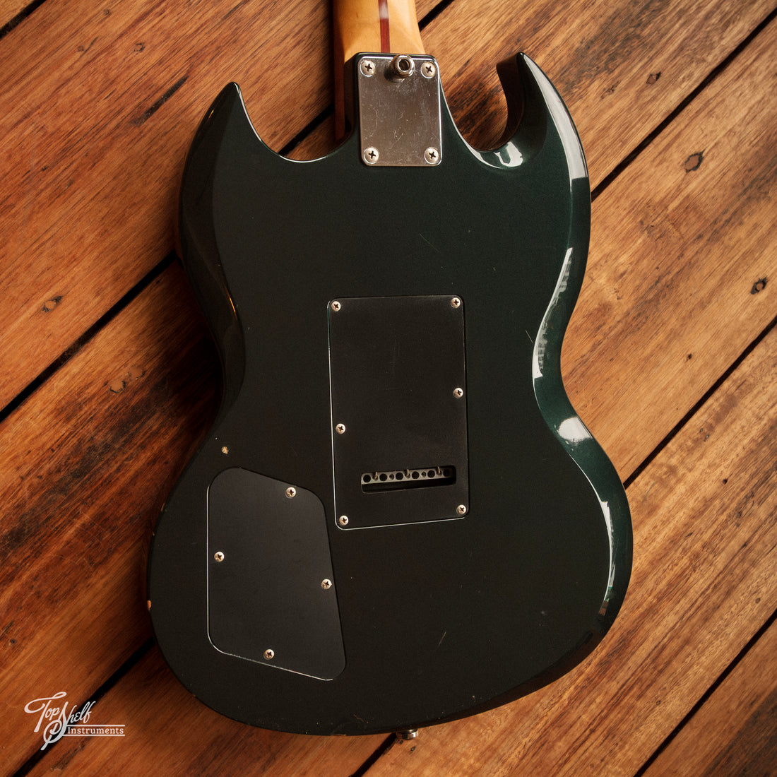 History ZSG-CFS German Black 2001